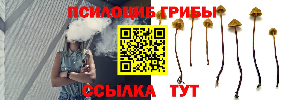Псилоцибиновые грибы прущие грибы  Вход с VPN  Семилуки  как найти закладки  Псилоцибиновые грибы Cubensis 